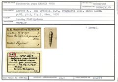 Karteikarte zum Holotyp von Nodosaria pupa Karrer, 1878